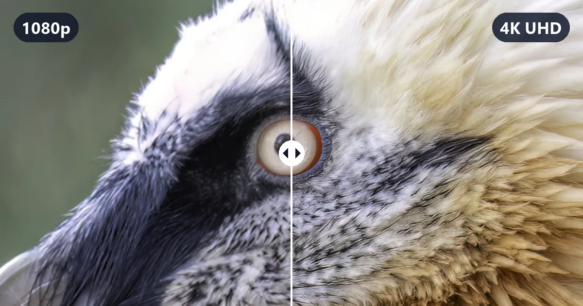 1080p vs 4K: Is 4K Better Than 1080p?