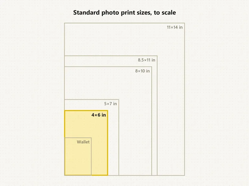 Standard photo print sizes chart with wallet, 4x6, 5x7, 8x10, letter and 11x14 drawn to scale