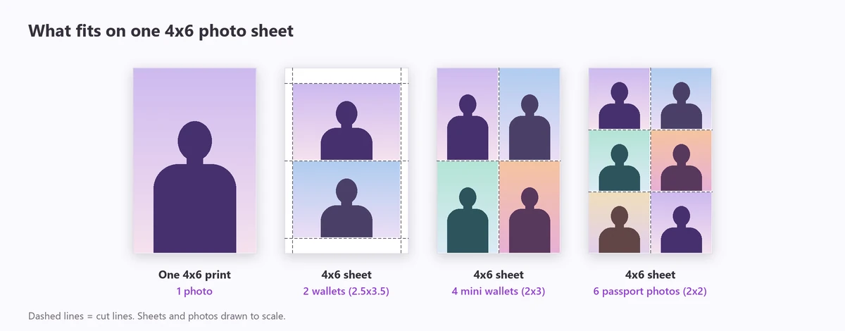 4x6 photo sizes on one sheet: a single 4x6 print, two wallet photos, four 2x3 wallets and six 2x2 passport photos