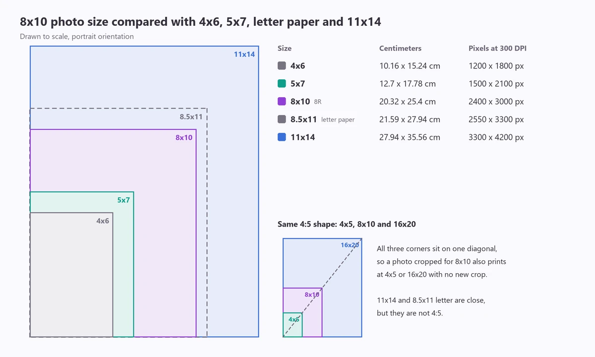 8x10 photo size comparison to scale with 4x6, 5x7, 8.5x11 letter paper and 11x14 prints