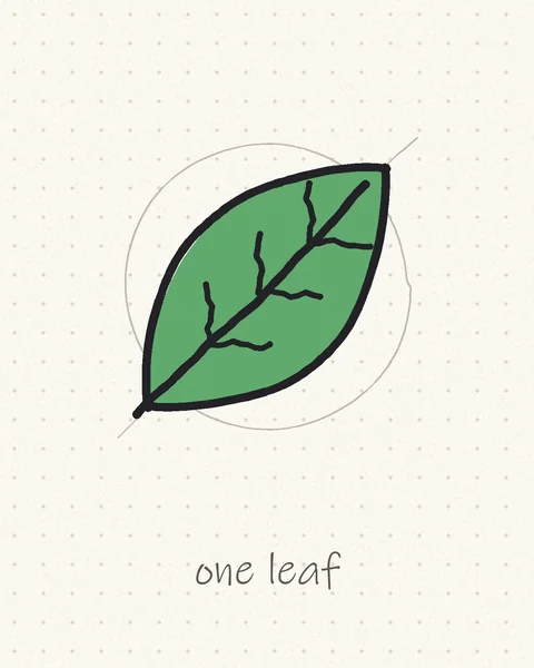 Hand-drawn green leaf logo with a center vein and side veins