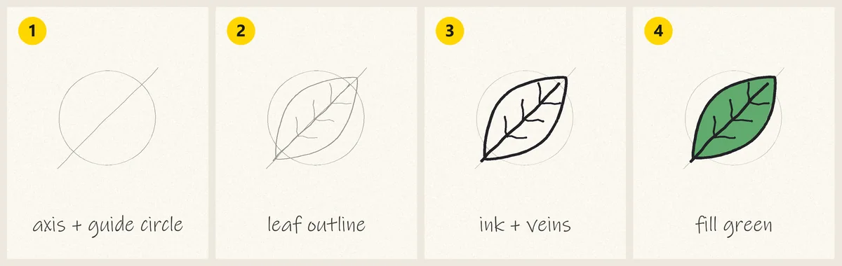 How to draw a leaf logo: diagonal axis and guide circle, leaf outline, inked veins, green fill