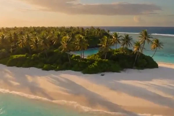 Aerial drone shot of a tropical island with palm trees, a frame from an AI generated video