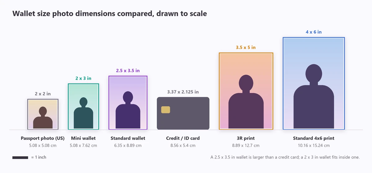 Wallet size photo dimensions to scale: 2x2 passport photo, 2x3 mini wallet, 2.5x3.5 standard wallet, a credit card, a 3.5x5 print and a 4x6 print
