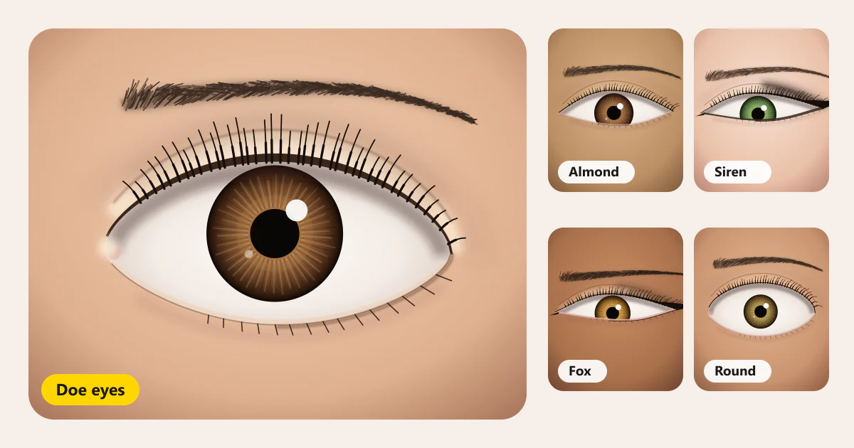 What Are Doe Eyes? Meaning, Eye Shape Guide and How to Get the Look