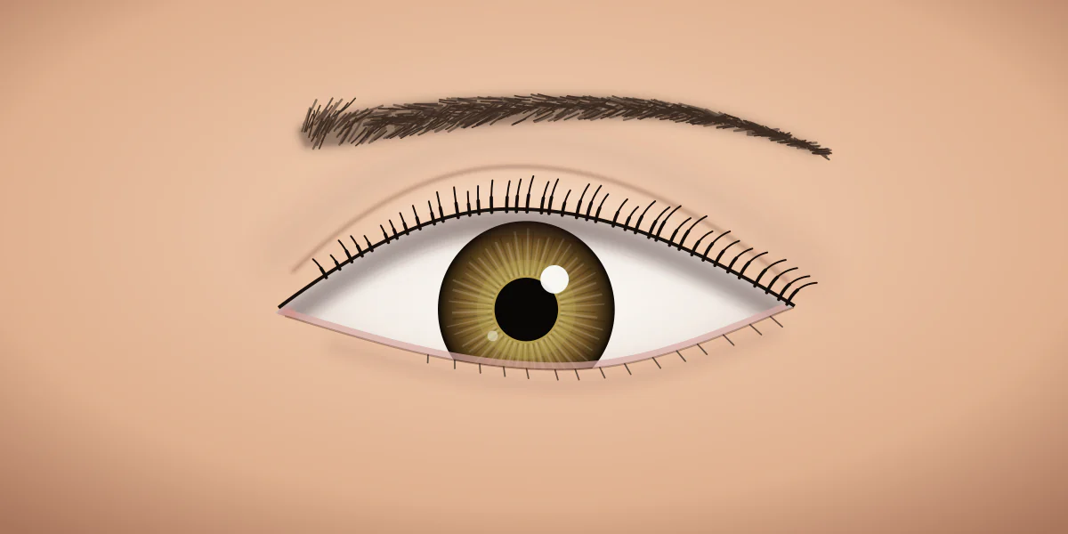 A bare almond-shaped eye with natural lashes and no makeup