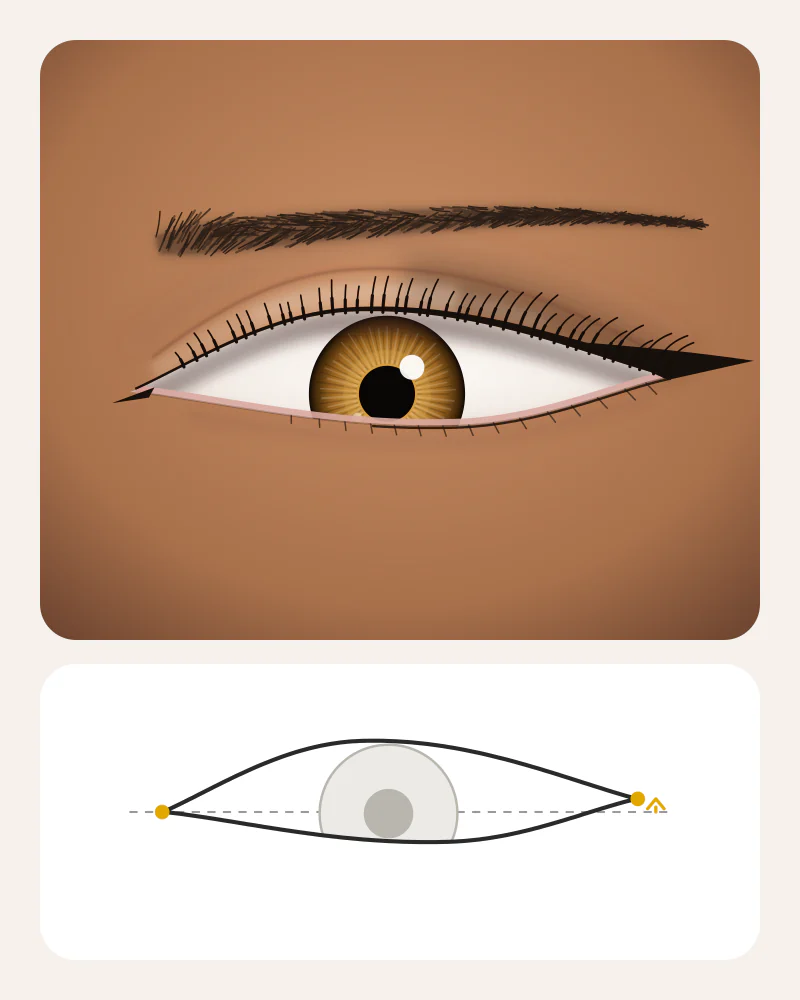Illustration of fox eyes: an elongated eye with liner pulled straight out toward the temple and a straight brow