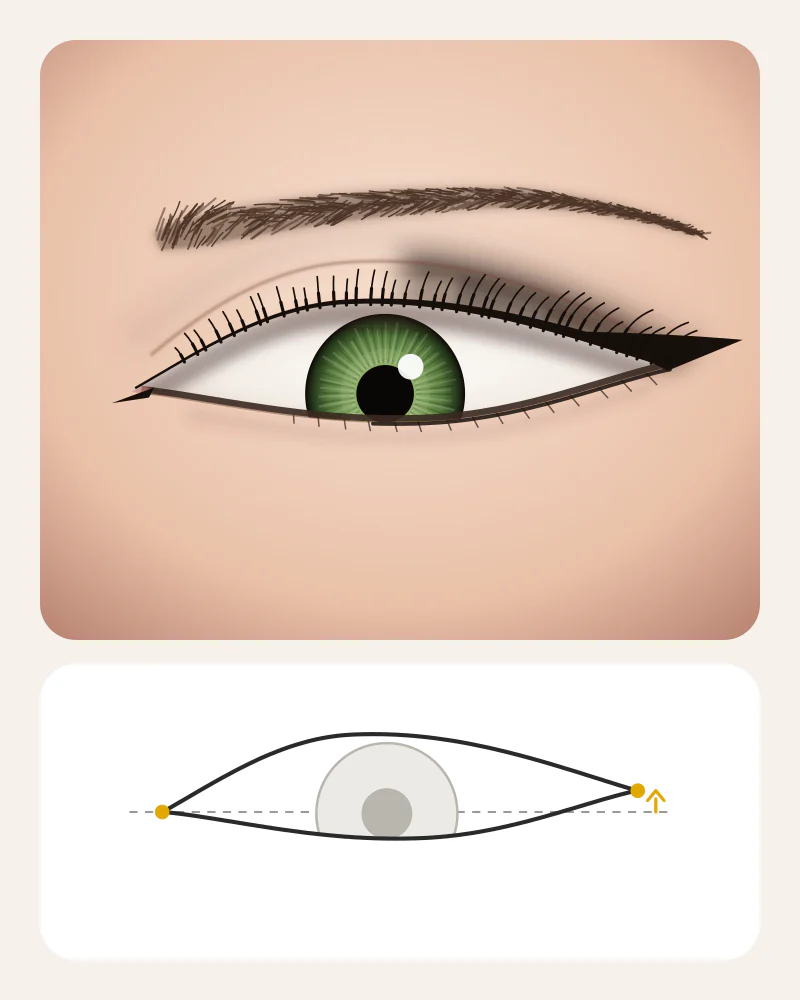 Illustration of siren eyes: a long, lifted eye with a sharp winged liner and a smoked outer corner
