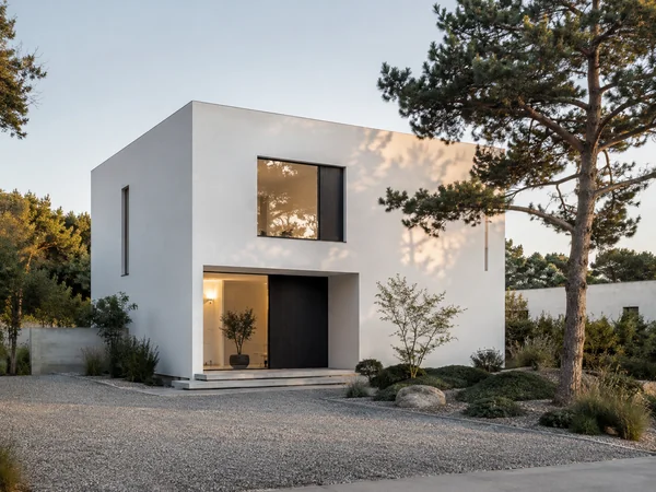 Minimalist white cube house with a dark entry and a pine tree