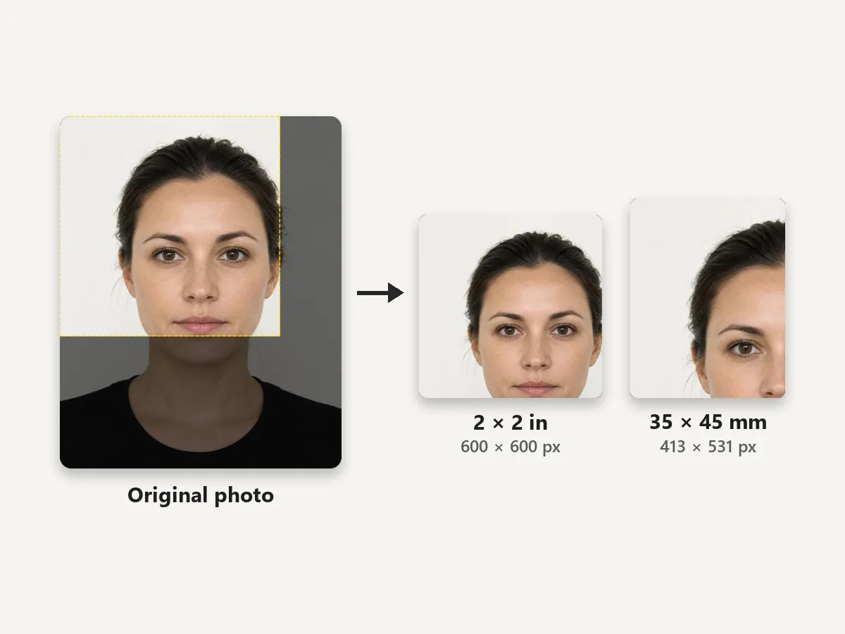 Portrait on a plain background with the 2x2 crop marked, then 600x600 and 413x531 passport crops