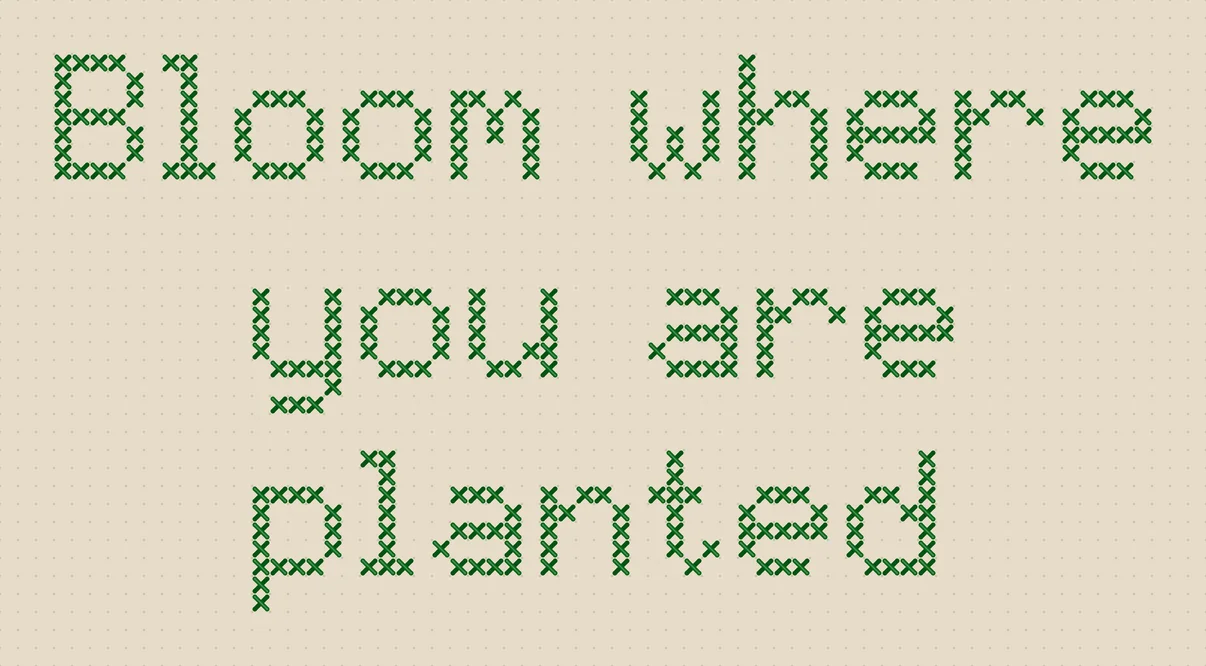 Cross stitch quote Bloom where you are planted in green on oatmeal Aida