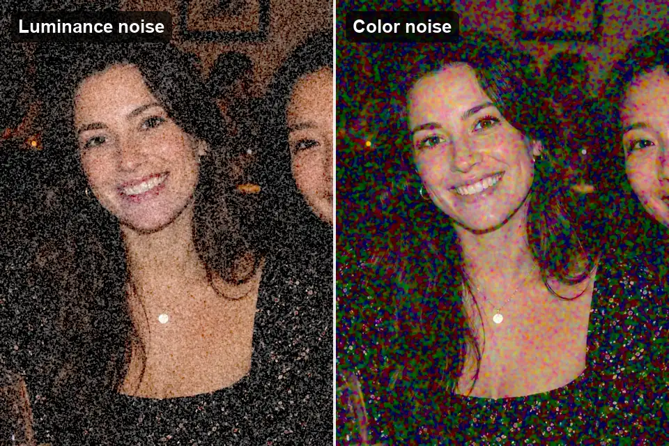 The same dinner photo with luminance noise as fine gray grain on the left and color noise as colored blotches on the right