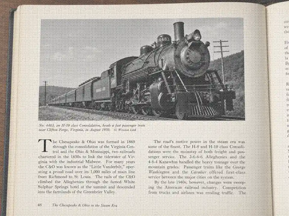Drag to compare the scanned book page before and after descreening (before)