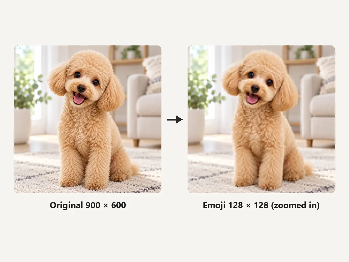 Dog photo next to the 128x128 Discord emoji made from it, zoomed in