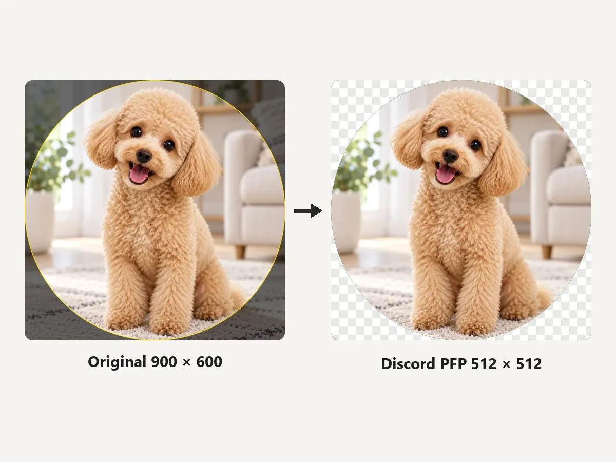 Dog photo with a circular crop marked, next to the round 512x512 Discord PFP