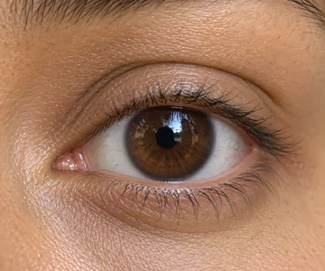 Close-up of an eye with natural-looking lashes
