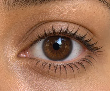 Close-up of an eye with dark, defined clustered lashes