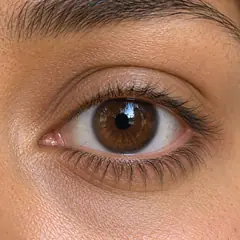 Lower Lashes