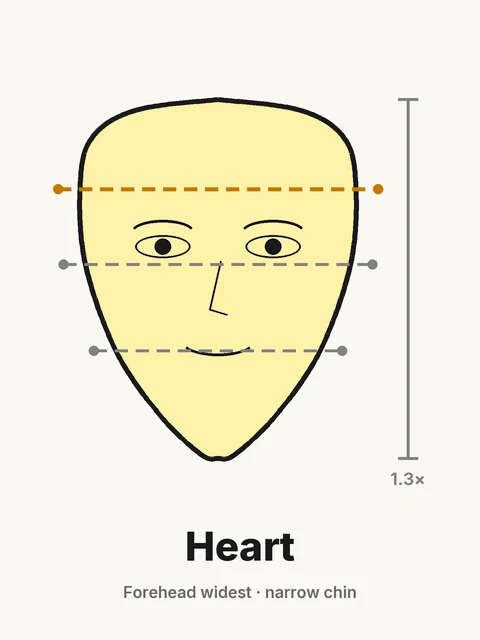 Heart face shape diagram: forehead widest, narrow pointed chin