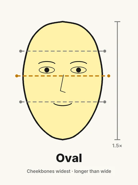 Oval face shape diagram: cheekbones widest, face about 1.5 times longer than wide