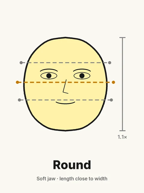 Round face shape diagram: soft jaw, face length close to its width