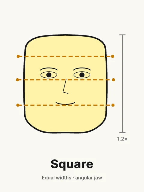 Square face shape diagram: forehead, cheekbones and jaw of equal width