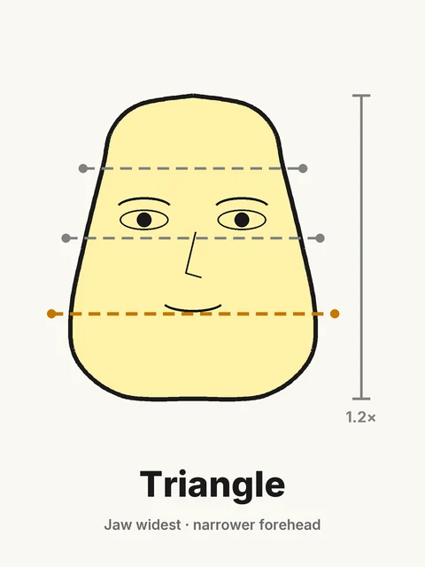 Triangle face shape diagram: jaw widest, narrower forehead