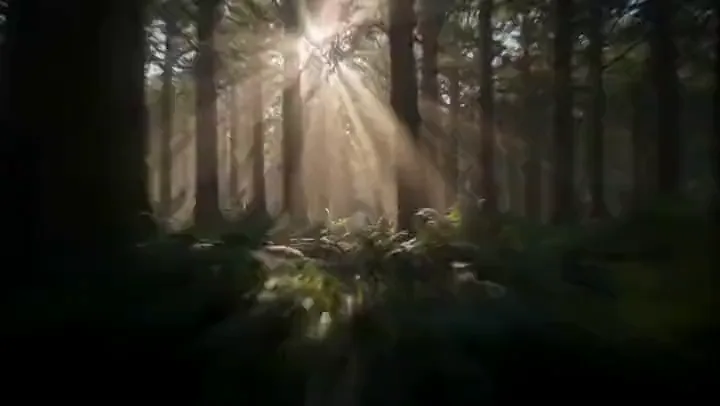 Drag to compare the first frame (dark forest) and the last frame (floating city) (before)