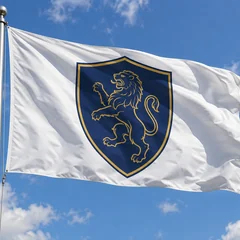Heraldic Banner