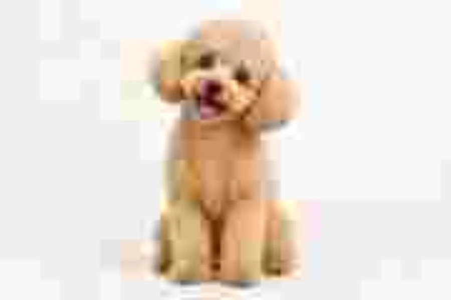 Dog photo after the Super Low Quality preset with huge compression blocks