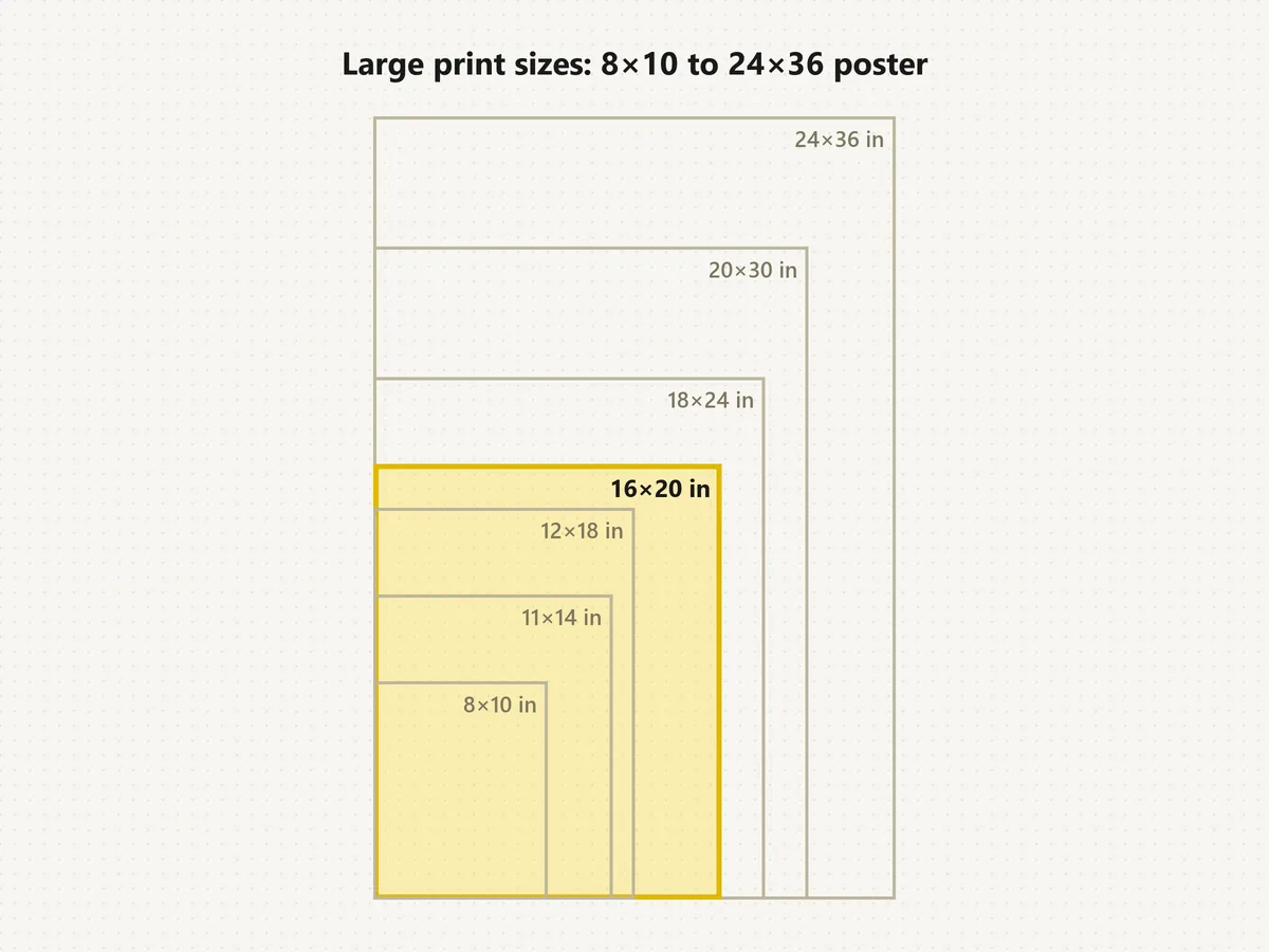 Large photo print sizes compared to scale: 8×10, 11×14, 12×18, 16×20, 18×24, 20×30 and 24×36 inches