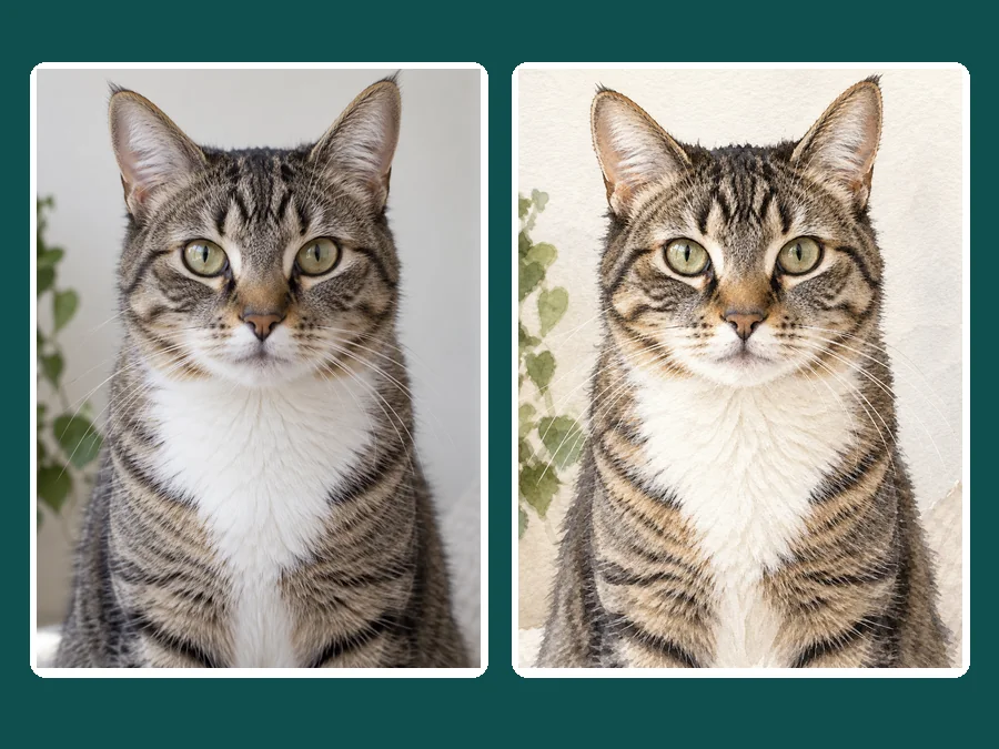 A tabby cat photo next to its watercolor version with the stripes preserved