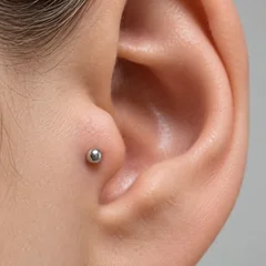 Tragus Stud