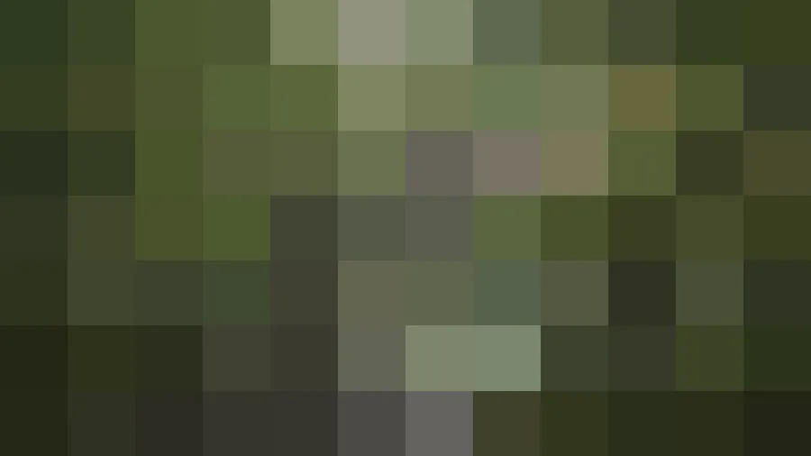 Garden photo pixelated into a few giant censor blocks