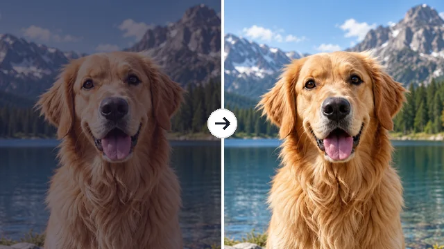 Dog photo with a dark filter next to the brighter, natural version