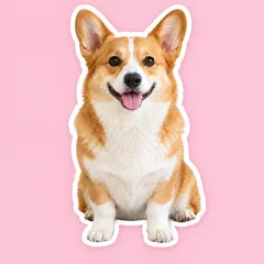 Photo Cut-Out