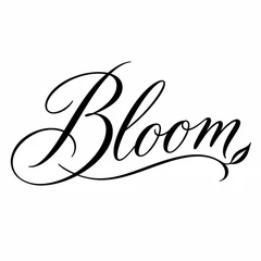 Script Lettering