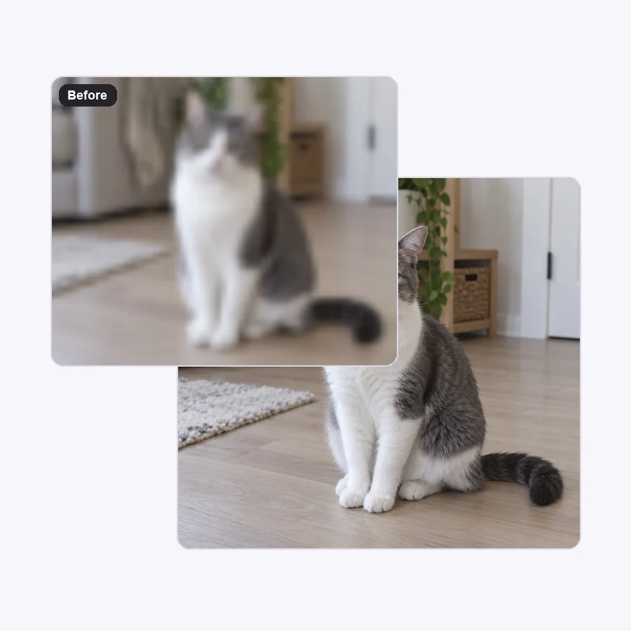 Small, soft cat video frame and the larger, sharper upscaled frame