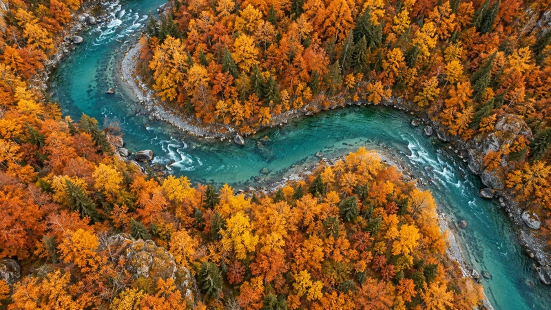 Aerial desktop wallpaper of a turquoise river winding through an autumn forest
