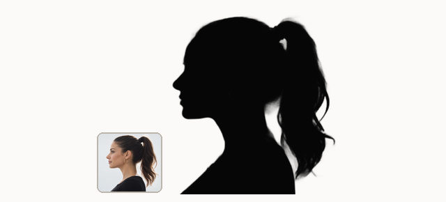 Solid black silhouette with a defined outline